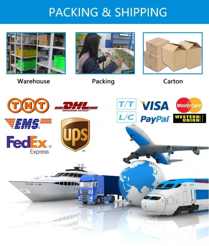 Pt1000 Pt1000 Pt100 RTD паровой промышленный термометр Цифровая температура Термопарный зонд Термодатчик датчик преобразователь передатчик 4