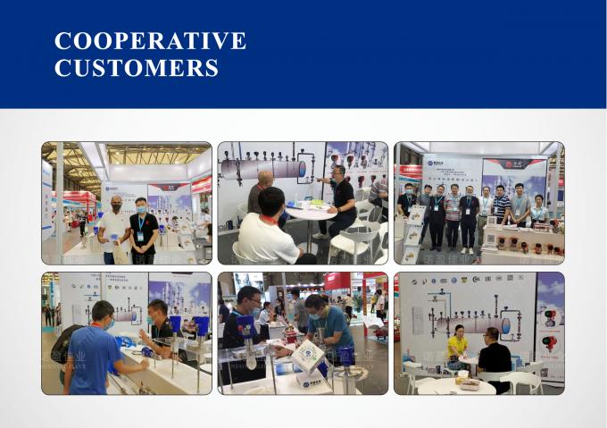 Pt1000 Pt1000 Pt100 RTD паровой промышленный термометр Цифровая температура Термопарный зонд Термодатчик датчик преобразователь передатчик 8